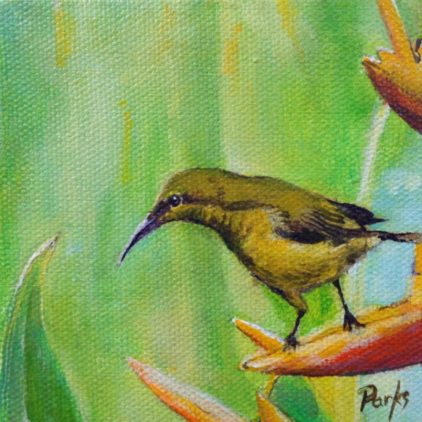 Click here to view Bird #10, Little Picker by Jim Parks