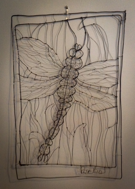 Dragonfly by Jim Parks