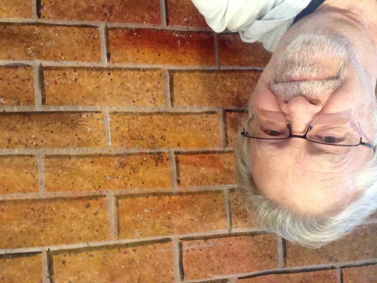 Brick Wall (and Me) by Jim Parks
