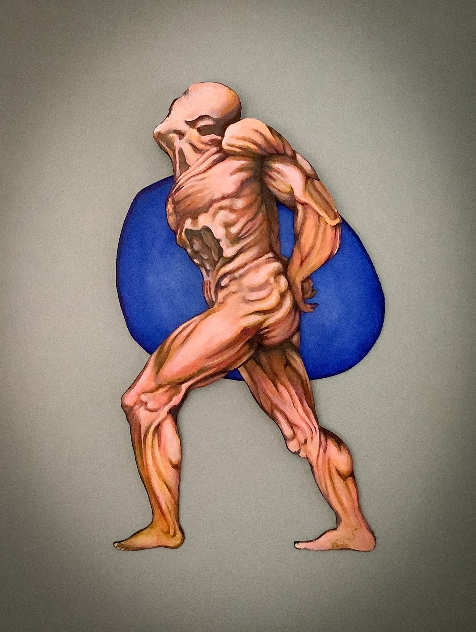 Click here to view Classical Anatomy by Jim Parks